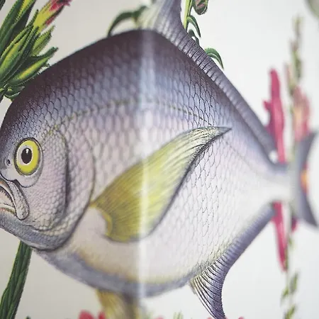 Seeappartements Eden *