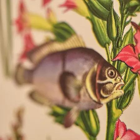 Lägenhet Seeappartements Eden